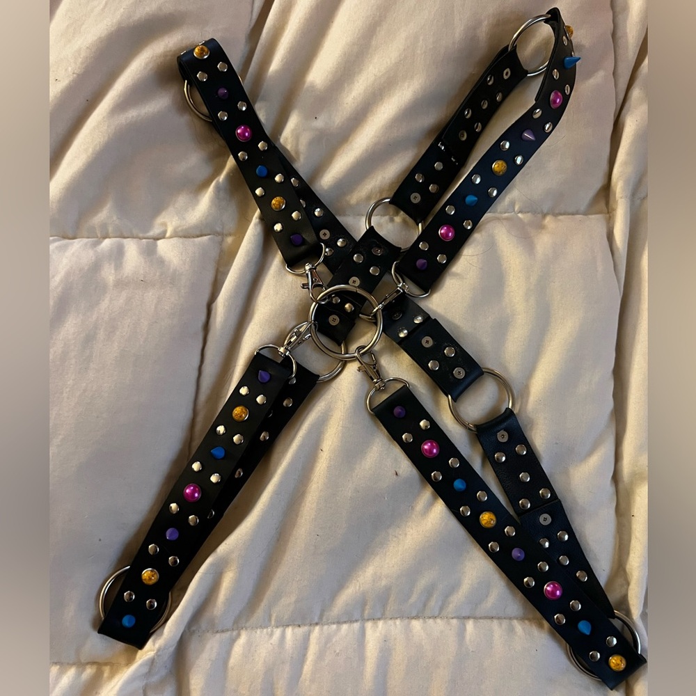Black rainbow spike harness
